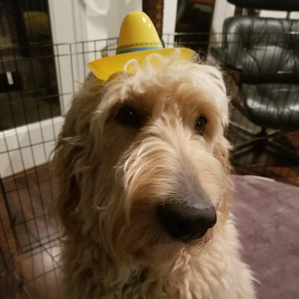 Meet your Posher, Erin